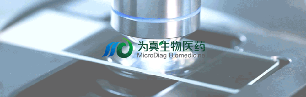 王莹院长领衔，王弢博士技术负责的研发项目获浙江省2024年度“尖兵”“领雁”研发攻关计划项目立项